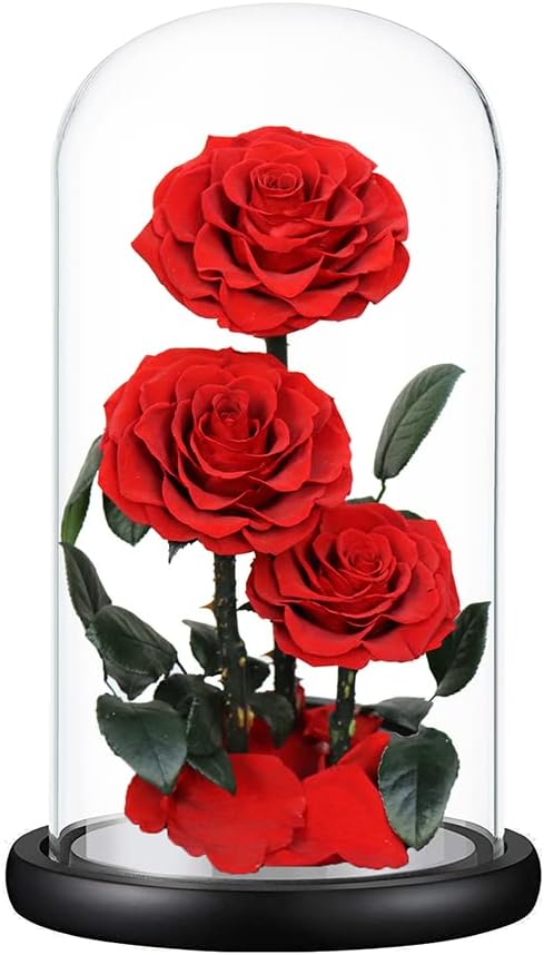 Perfectione Roses Handmade Preserved Rose in Glass Dome, Red Roses, Birthday Gifts for Women