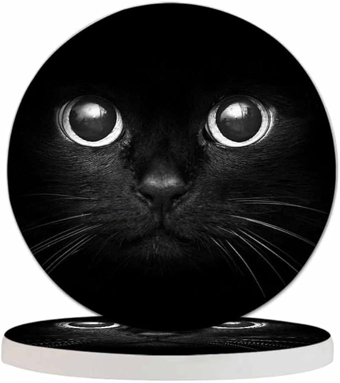 Black Cat Eyes in Dark Coasters for Drinks Lonely Black Kitten Closeup Look Cool Domestic Breed Pet for Tabletop Protection Coffee Table Living Room Kitchen Office Home Decor 2 Pcs,4 Inch