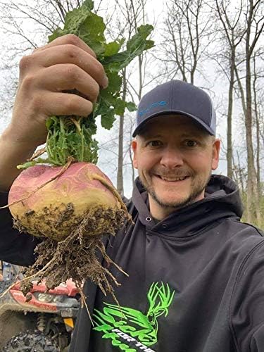 Sugar Rush | Select Seed Blends | Easiest Deer Feeder | Late Season Whitetail Deer Food Plot | Turnip, Sugar Beet, Winfred Forage Brassica Seeds | Plants 1/2 Acre | 5 lb Bag