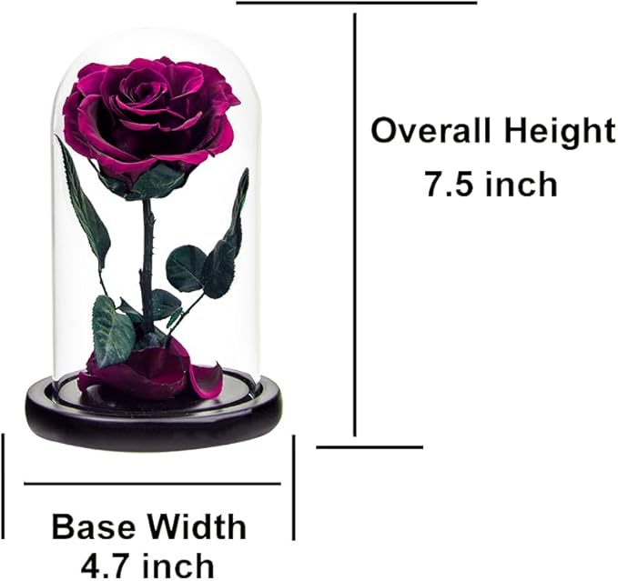Preserved Roses Purple Roses in Glass Dome, Medium, Preserved Flowers for Women