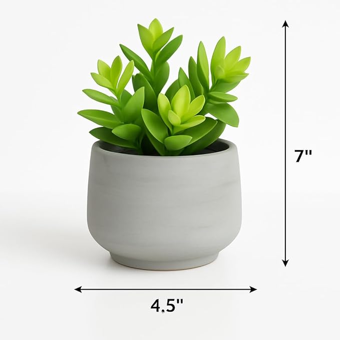 Kurrajong Farmhouse Artificial Plant | 7" Fake Plant | Artificial Succulent in Pot | Faux Plant Indoor | Succulent Plant Artificial for Desk Decor