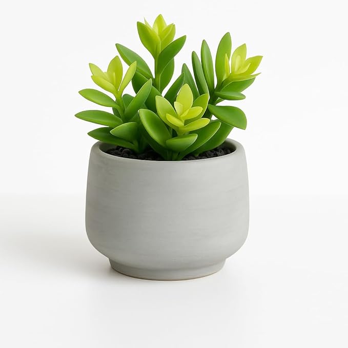 Kurrajong Farmhouse Artificial Plant | 7" Fake Plant | Artificial Succulent in Pot | Faux Plant Indoor | Succulent Plant Artificial for Desk Decor