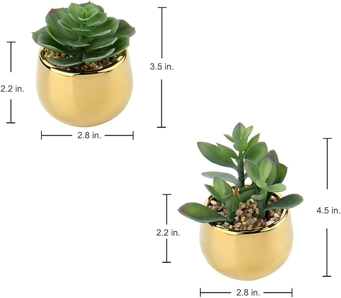 Briful Small Artificial Succulents in Pots Set of 2 Realistic Faux Succulents Plants with Gold Ceramic Pots Cute Mini Fake Plants Decor for Modern Home Table Office Desk Bathroom Shelf Decoration