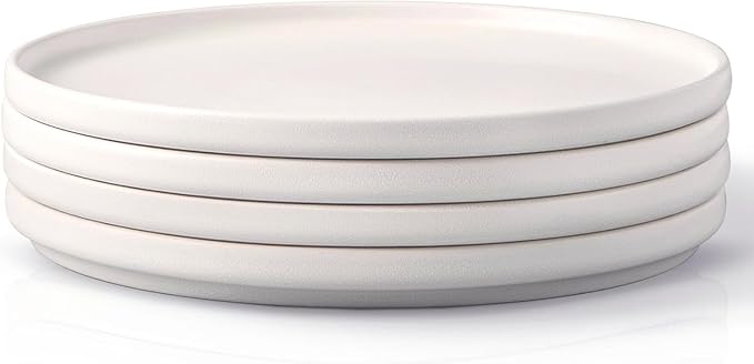 AmorArc Stoneware Dinner Plates Set of 4, 10.5 Inch Reactive Matte Glaze Ceramic Plates Set, Modern Dinnerware Dish set for Kitchen, Microwave, Dishwasher Safe, Scratch Resistant - Matte White