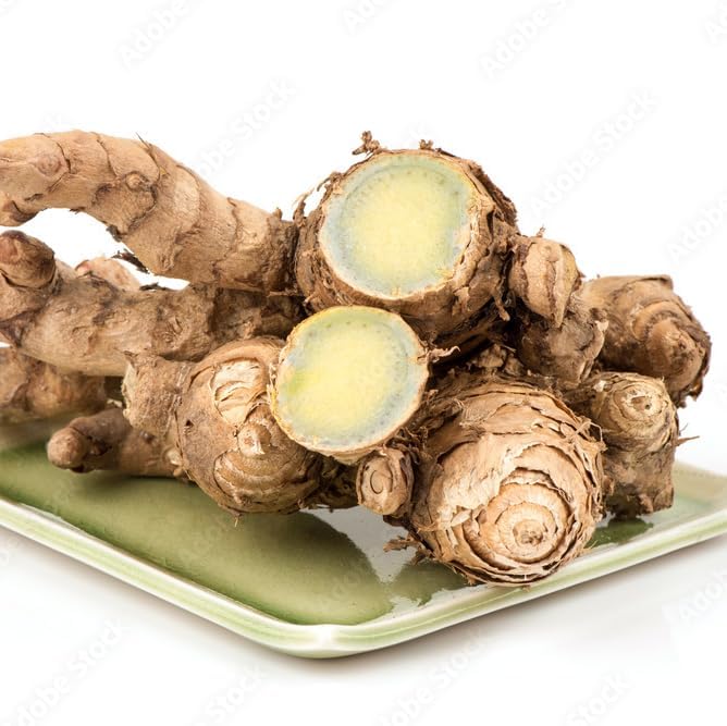 Green Turmeric Live Plant - (Curcuma aeruginosa) - Rare Medicinal Herb, Vibrant Pink Flowers, Ideal for Tropical Gardens (2 Green Turmeric Bags)