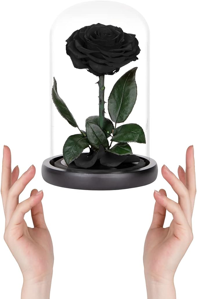 Preserved Roses Black Roses in Glass Dome, Medium, Preserved Flowers for Mothers Day, Gifts for Women