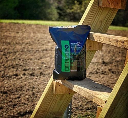 Clover/Chicory | Select Seed Blends | All Season Whitetail Deer & Turkey Perennial Food Plot Seed | Drought Resistant | Easiest Turkey & Deer Feeders | Plants 1 Acre | 5 lb Bag
