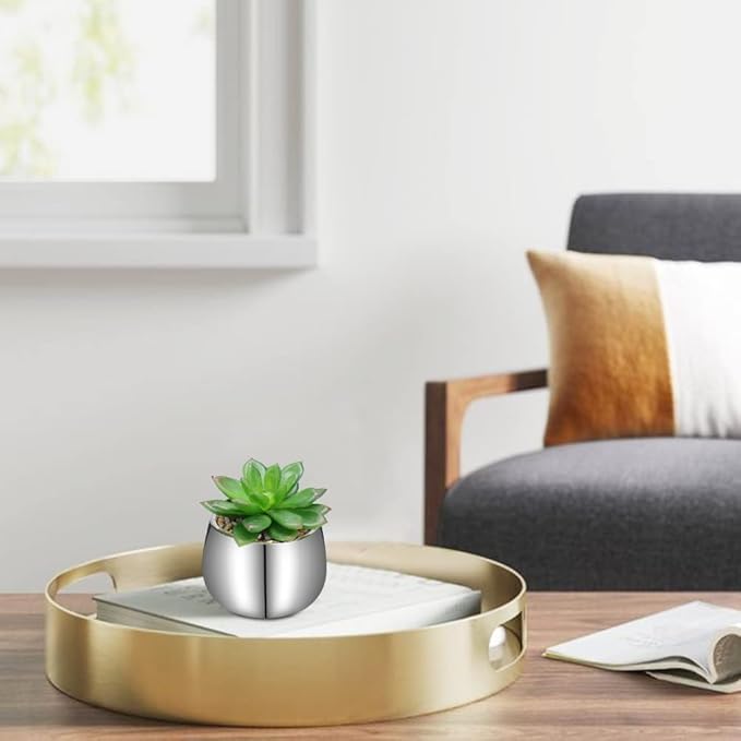 Briful Small Artificial Succulents in Pots Set of 2 Realistic Faux Succulents Plants with Silver Ceramic Pots Cute Mini Fake Plants Decor for Modern Home Table Office Desk Bathroom Shelf Decoration