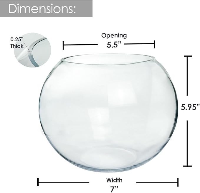 Craft And Party, Glass Bubble, 6" Height x 8" Width Glass Fish Bowl Vase, Bubble Bowl vase for Terrarium, Flower vase Centerpiece