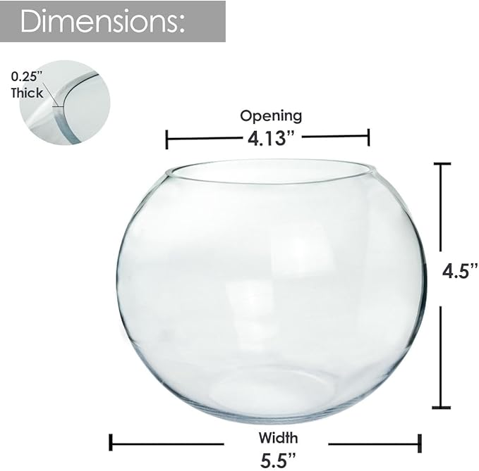 Craft And Party, Glass Bubble Vase, 4.5" Height x 6" Width, Set of 6 Glass Fish Bowl Vase, Bubble Bowl vase for Terrarium, Flower Vase Centerpiece