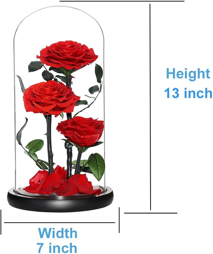 Perfectione Roses Handmade Preserved Rose in Glass Dome, Red Roses, Birthday Gifts for Women