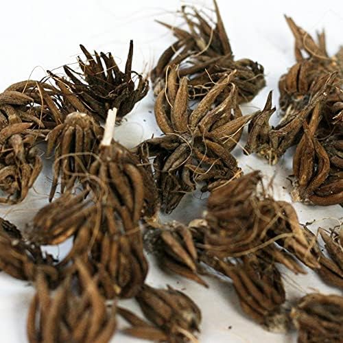 Eden Brothers Ranunculus Bulbs - Pink