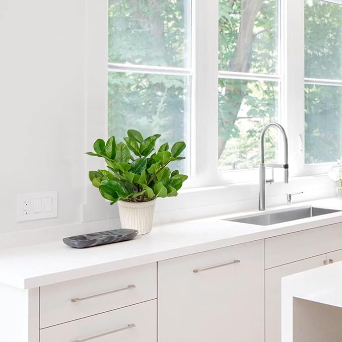 Briful Fake Plants 12'' Artificial ZZ Plants in Ceramic Pot Faux Zamioculcas Potted Silk Plants for Home Living Room Office Desk Decor Bedroom Aesthetic(1PACK)