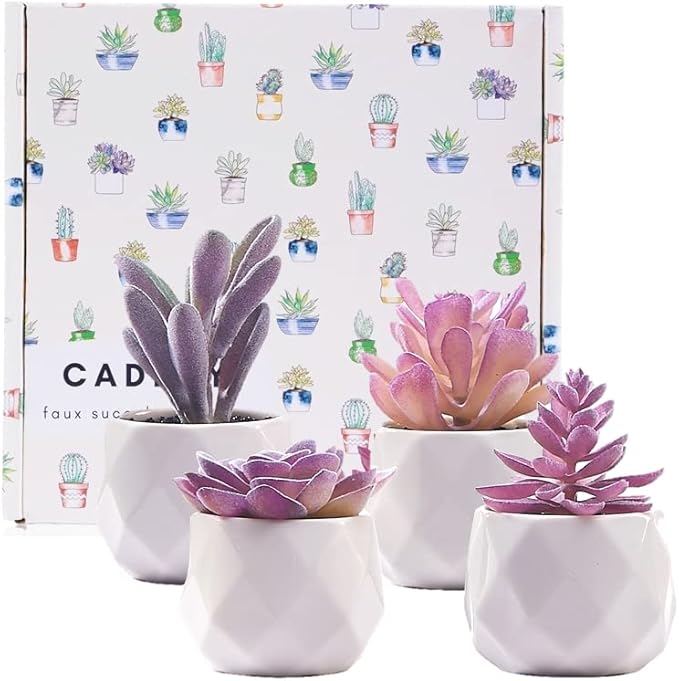 CADNLY Fake Succulent Plant Set - Artificial Desk Plants for Women Desk - Realistic Faux Succulents in Ceramic Pots - Mini Purple Decor for Bedroom Bathroom Office Shelf 4 Pack