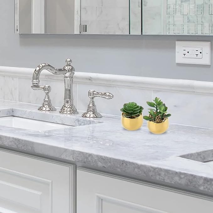 Briful Small Artificial Succulents in Pots Set of 2 Realistic Faux Succulents Plants with Gold Ceramic Pots Cute Mini Fake Plants Decor for Modern Home Table Office Desk Bathroom Shelf Decoration