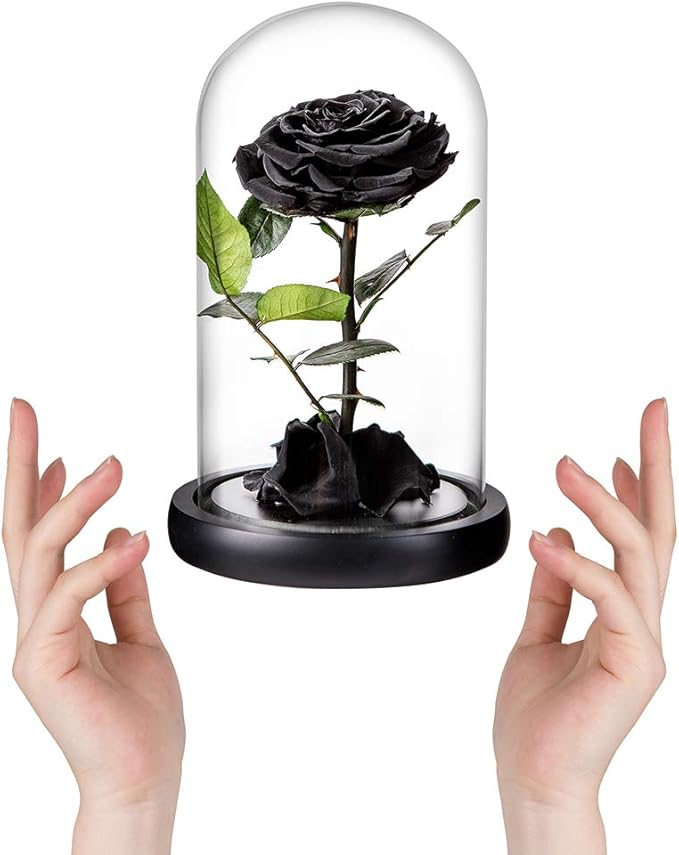 Preserved Roses Black Roses Handmade Real Rose in Glass Dome, Preserved Roses Never Withered Romantic Gifts for Her, Mother's Day, Birthday Gifts for Women (9 inch, Black)