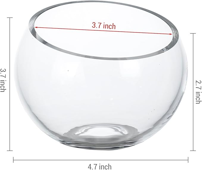 MyGift Premium Hotel Series 5 Inch Round Clear Glass Air Plant Terrariums, Mini Candy Bowl Jars, Tealight Candle Holders, Succulent Cactus Vases, Set of 4