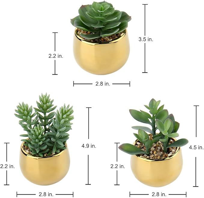 Briful Small Artificial Succulents in Pots Set of 3 Realistic Faux Succulents Plants with Gold Ceramic Pots Cute Mini Fake Plants Decor for Modern Home Table Office Desk Bathroom Shelf Decoration