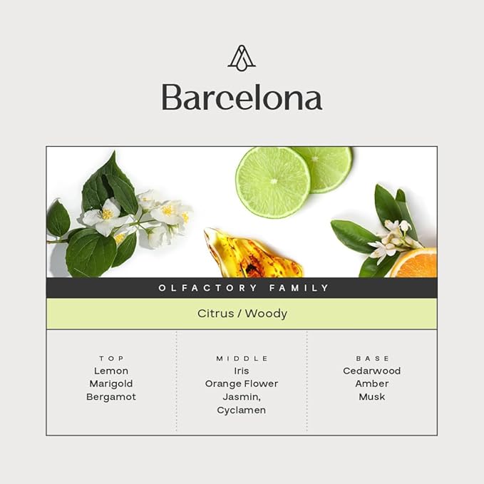 AromaPlan Hotel, Home Luxury Scents, Barcelona 5.07 Fl Oz (150ml) | Fragrance for Cold Air & Waterless Diffuser Oil | Home Luxury & Hotel Scent for Aromatherapy-USA Made,Bigger Bottle & Longer Lasting