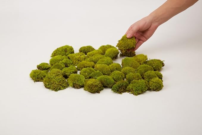 Preserved Pole Moss Pillow Bun Cushion Natural Green Decorative Real Natural Green DIY Kit Gardenning Art Wall Decor Florist Decor Easter Table Decor Wedding (1.5 sq.ft, Green-D)