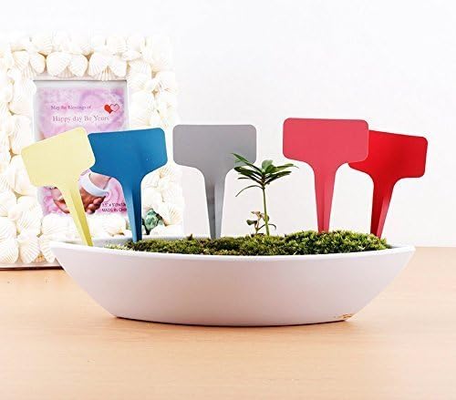 KINGLAKE Plant Labels,100 Pcs Multicolor Waterproof Plastic Plant Tags T-Type Nursery Garden Labels 6 x10cm,5 Colors