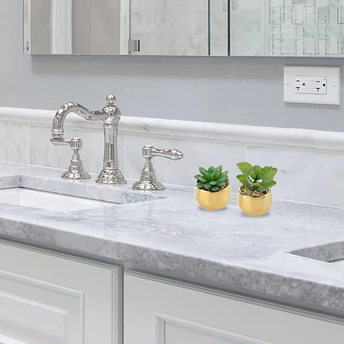 Briful Small Artificial Succulents in Pots Set of 2 Realistic Faux Succulents Plants with Gold Ceramic Pots Cute Mini Fake Plants Decor for Modern Home Table Office Desk Bathroom Shelf Decoration