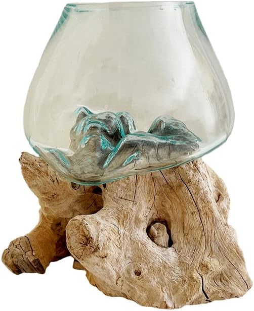 OMA Molten Glass on Driftwood – Hand Blown Vase, Terrarium, or Planter Centerpiece for Coastal & Boho Home Décor (7" – 9" High)