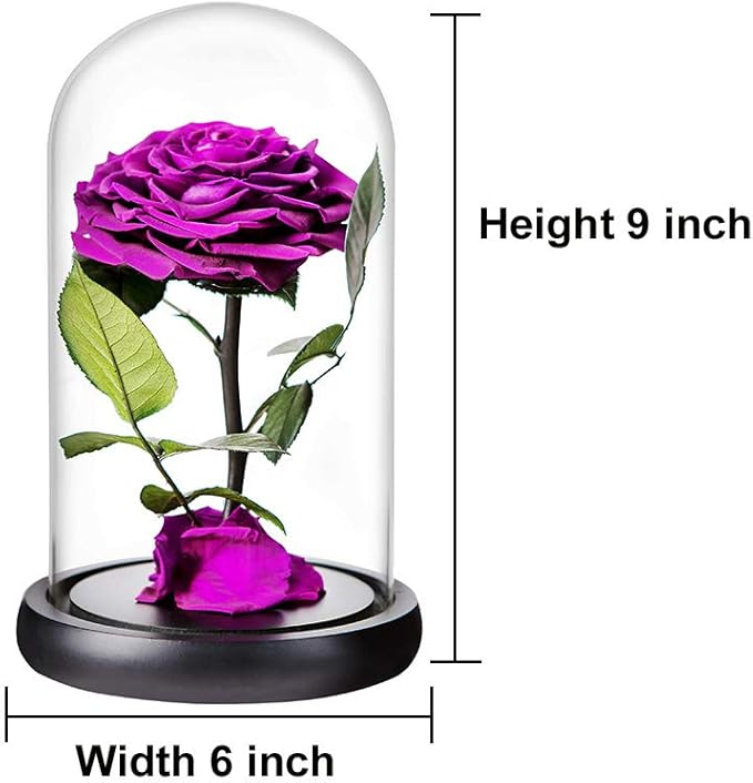 Purple Roses Handmade Rose in Glass Dome, Preserved Flowers Never Withered Romantic Gifts for Her, Mother's Day, Birthday Gifts for Women (9 inch, Purple)