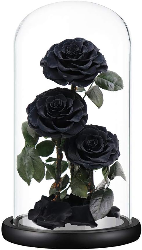 Preserved Roses Handmade Preserved Flowers in Glass Dome, Black Roses Never Withered, Birthday Gifts for Her (13 inch)
