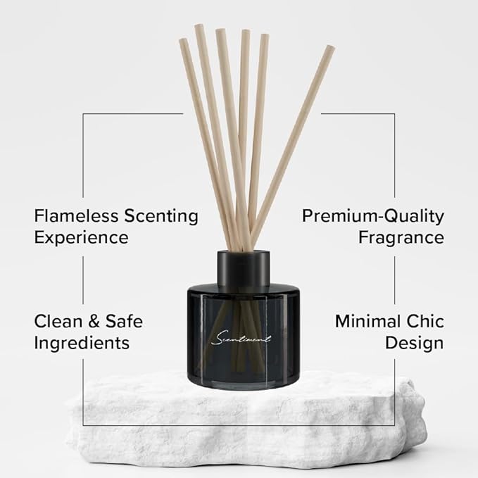 Day Dream Reed Diffuser - Black Glass | 100ml | Long-Lasting Home Fragrance | Includes Reed Sticks & 120ml Day Dream Reed Diffuser Oil
