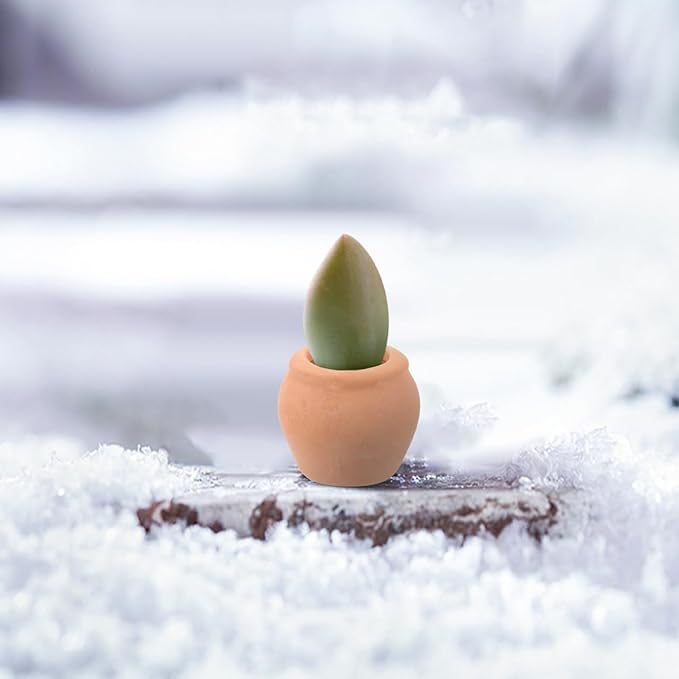 Milisten 8pcs Small Terracotta Pots Indoor Use Miniature Clay Pots Tiny Pottery Planter for Succulent Plants and Desktop Decoration