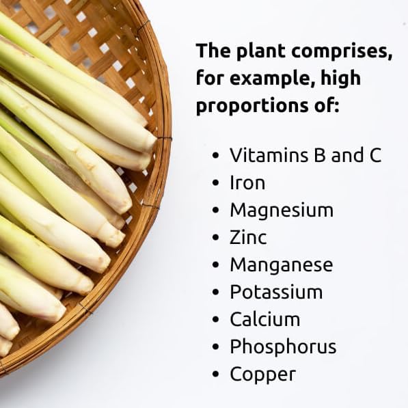 Lemongrass - Cymbopogon citratus. Live Plant. Fragrant, Fresh, Edible. Easy Grow. Indoor/Outdoor. (4 Lemongrass in Sac)