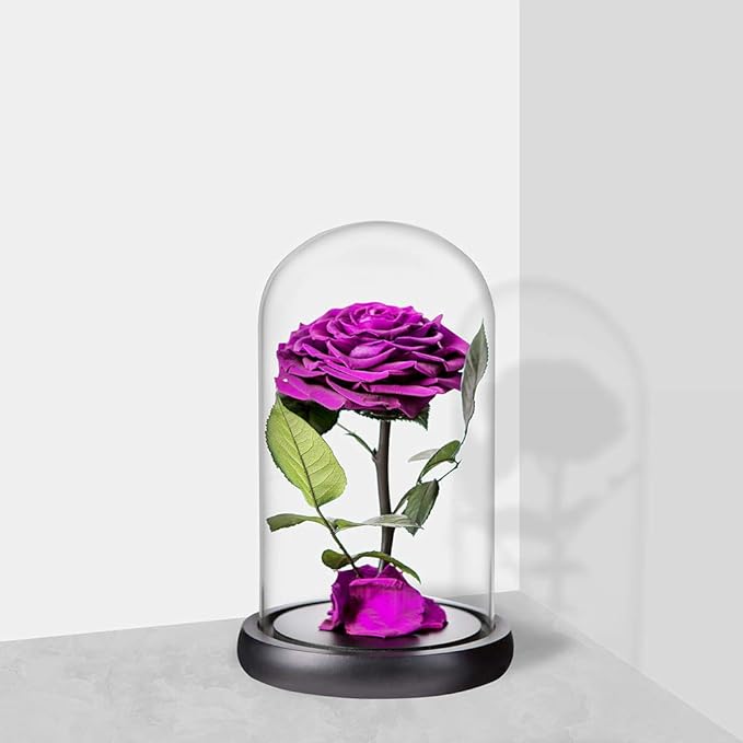Purple Roses Handmade Rose in Glass Dome, Preserved Flowers Never Withered Romantic Gifts for Her, Mother's Day, Birthday Gifts for Women (9 inch, Purple)
