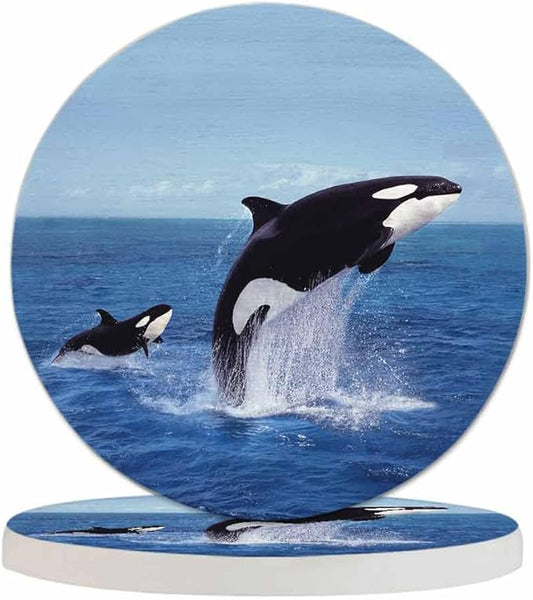 Killer Whale Leaping Drink Coasters Modern Aquatic Animal Jumping Sea Orcinus Orca Ocean Cetacean Housewarming Presentss for New Home Present for Friends,2 Pcs,4 X 4 X 0.35 Inches