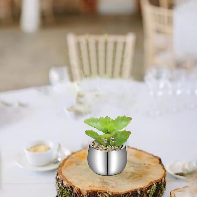 Briful Small Artificial Succulents in Pots Set of 2 Realistic Faux Succulents Plants with Silver Ceramic Pots Cute Mini Fake Plants Decor for Modern Home Table Office Desk Bathroom Shelf Decoration