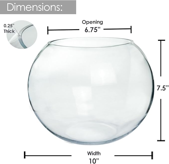 Craft And Party, Glass Bubble Vase, 8" Height x 10" Width, Set of 4 Glass Fish Bowl Vase, Bubble Bowl vase for Terrarium, Flower Vase Centerpiece