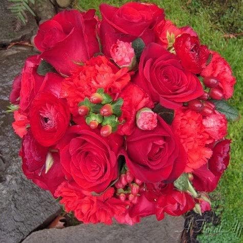 Ranunculus Bulbs - Red - 100 Bulbs - Red Flower Bulbs, Corm Attracts Bees, Attracts Pollinators, Easy to Maintain & Grow, Fragrant, Container Garden