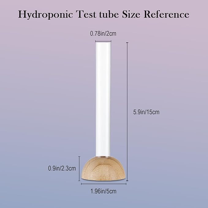 Desktop Glass Plant Propagation Station with 1 Tubes and Wooden Stand - Hydroponic Plant Cuttings Holder for Office Desk, Home Decor, Terrarium