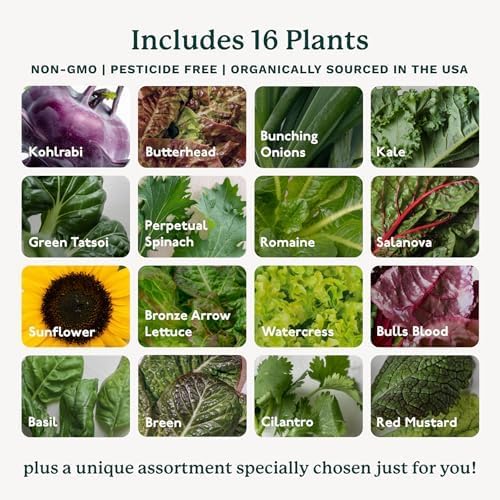 Gardyn Studio Vertical Hydroponics Growing System Kit - 16 Non-GMO Plants, Herbs, Vegetables - Tower Garden - Hydroponic Herb Garden Planter Indoor Kit - Indoor Gardening System with LED Grow Lights