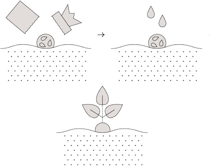 Modern Sprout Seed Bombs - Organic Wildflower & Herbs Seeds for Indoor/Outdoor Gardening - Party Favors and Eco-Friendly Gift for Plant Lovers - Includes 12 Hand-Rolled Seed Balls - Made in The USA