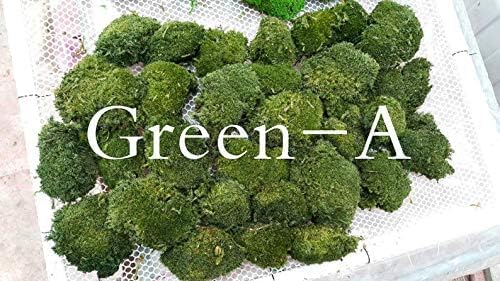 Preserved Pole Moss Pillow Bun Cushion Natural Green Decorative Real Natural DIY Kit Terrariums Garden Art Wall Florist Easter Wedding Decor (1.5 sq.ft., Green-A)