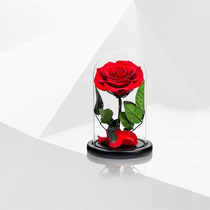 Preserved Roses Red Roses in Glass Dome, Medium, Preserved Flowers for Mothers Day, Gifts for Women
