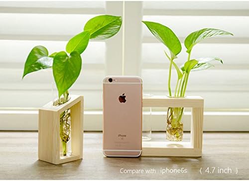 Ivolador Plant Propagation Station, Plant Propagation Tubes,Gifts for Plant Lovers,Plants Cutting Holder Office Desk Garden Décor Gifts for Mom Women Hydroponic Vase Gift Box