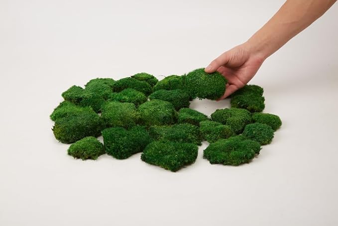 Preserved Pole Moss Pillow Bun Cushion Natural Green Decorative Real Natural DIY Kit Gardenning Art Wall Decor Florist Easter Table Decor Wedding(1.5 sq.ft, Green-C)