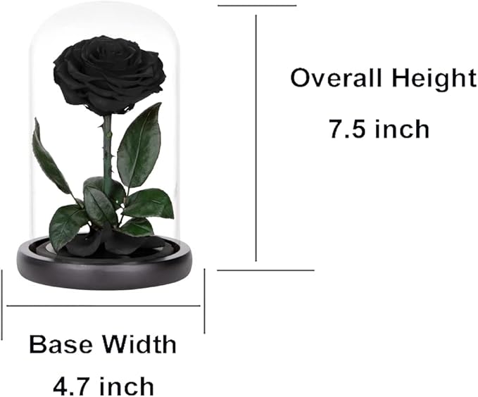 Preserved Roses Black Roses in Glass Dome, Medium, Preserved Flowers for Mothers Day, Gifts for Women