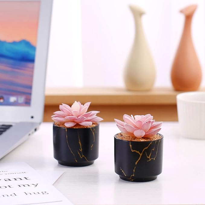 Succulent Artificial Plants,Cute Fake Succulents in 2 Black Ceramic Pots,Small Fake Plants for Office,Table,Desk,Bathroom, Bedroom,Aesthetic Room Shelves Decor,Desk Decorations for Women Office
