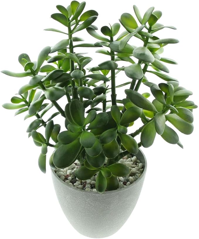 Westcharm 16 in. Potted Faux Jade Plant Home Décor | Artificial Crassula Ovata Succulent Money Tree in Melamine Pot | Fake Greenery for Office, Home, Kitchen, Bathroom, Bookshelf
