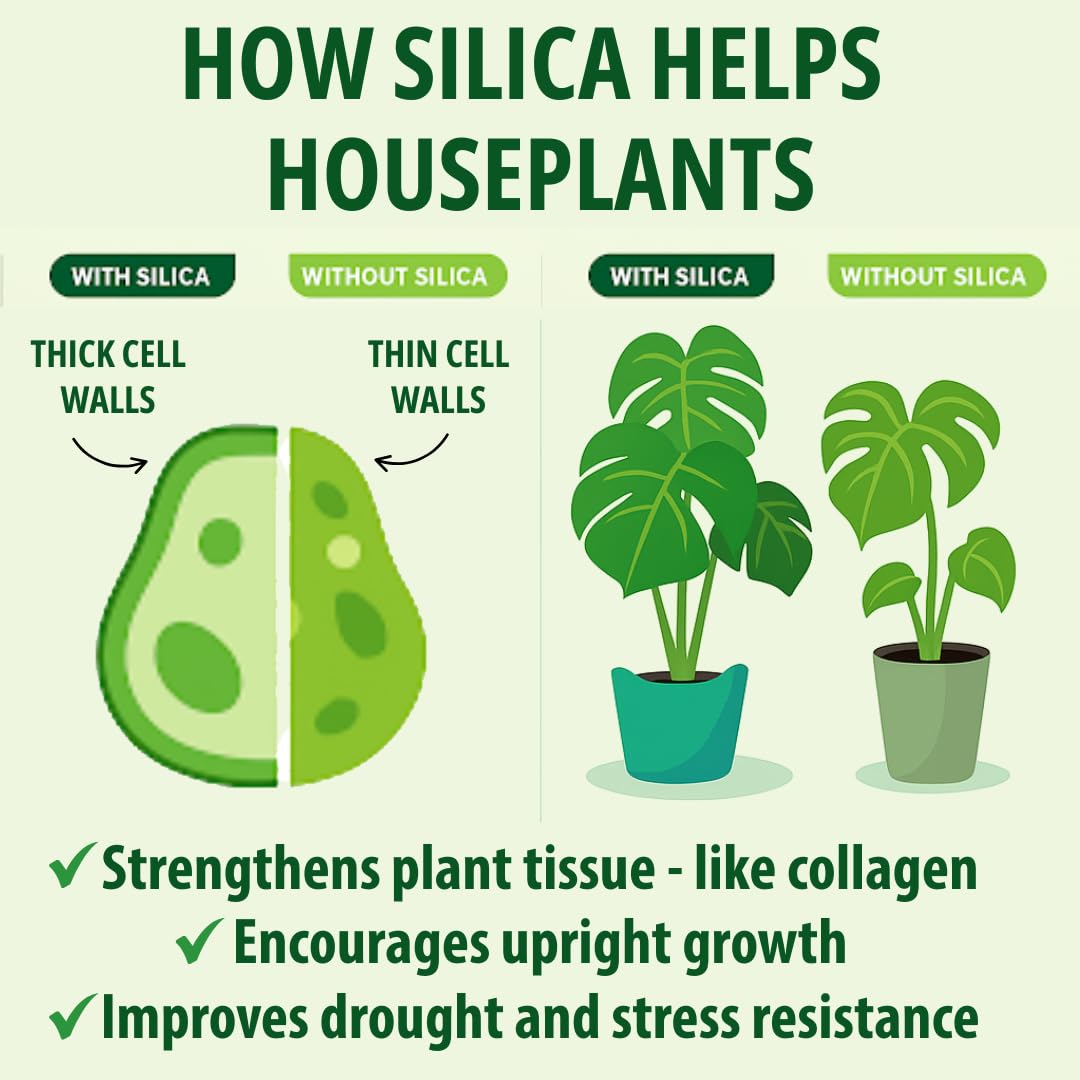 Silica Strength Plant Supplement – Strengthens Stems, Supports Upright Leaves & Improves Stress Resilience | Ready-to-Use 4.5% Liquid Concentrate for Houseplants | 8 oz | Makes 96 Gallons