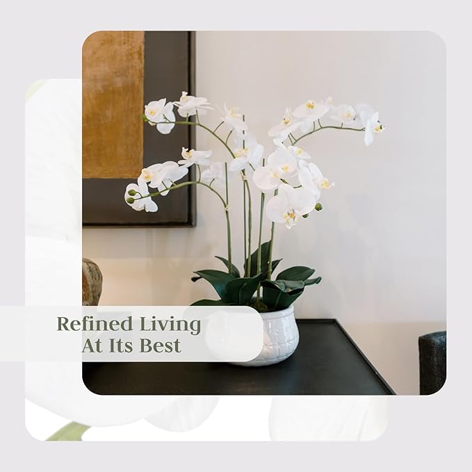 CG Hunter Faux White Orchid Plant, Premium Artificial Indoor Flower Display Stands 23”, Beautiful Sculptural Blooms That Lasts Forever, White Planter Pot Included