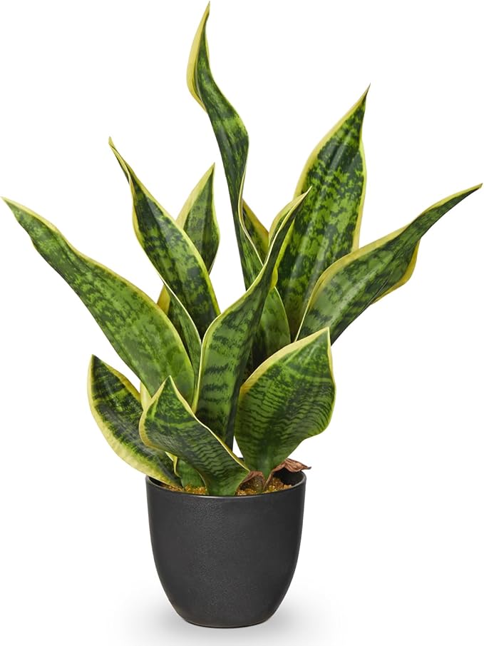 Artificial Snake Plant 11 Inch Small Potted Good Luck Plant Fake Snake Plants Faux Mother In Law Tongue Sansevieria Plant - Fake Laurentii for Indoor Outdoortall Fake Tropical Plant Home Office Decor